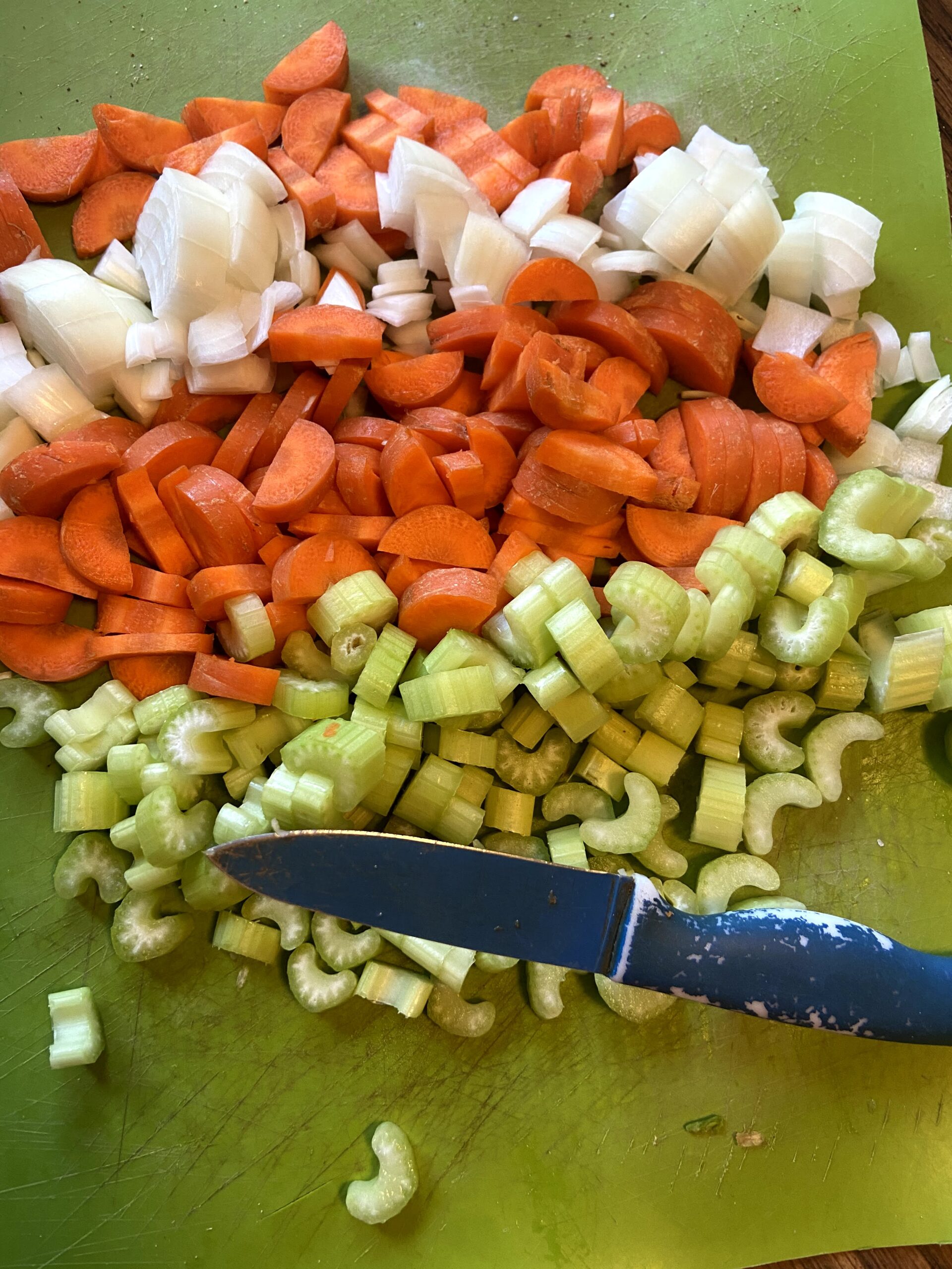 Warm My Soul Lentil Soup · Jess in the Kitchen