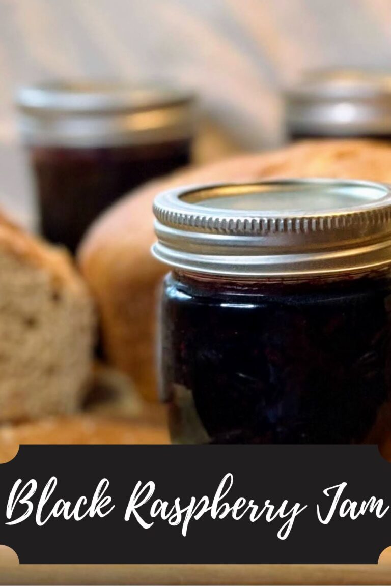 Black Raspberry Jam · Jess in the Kitchen