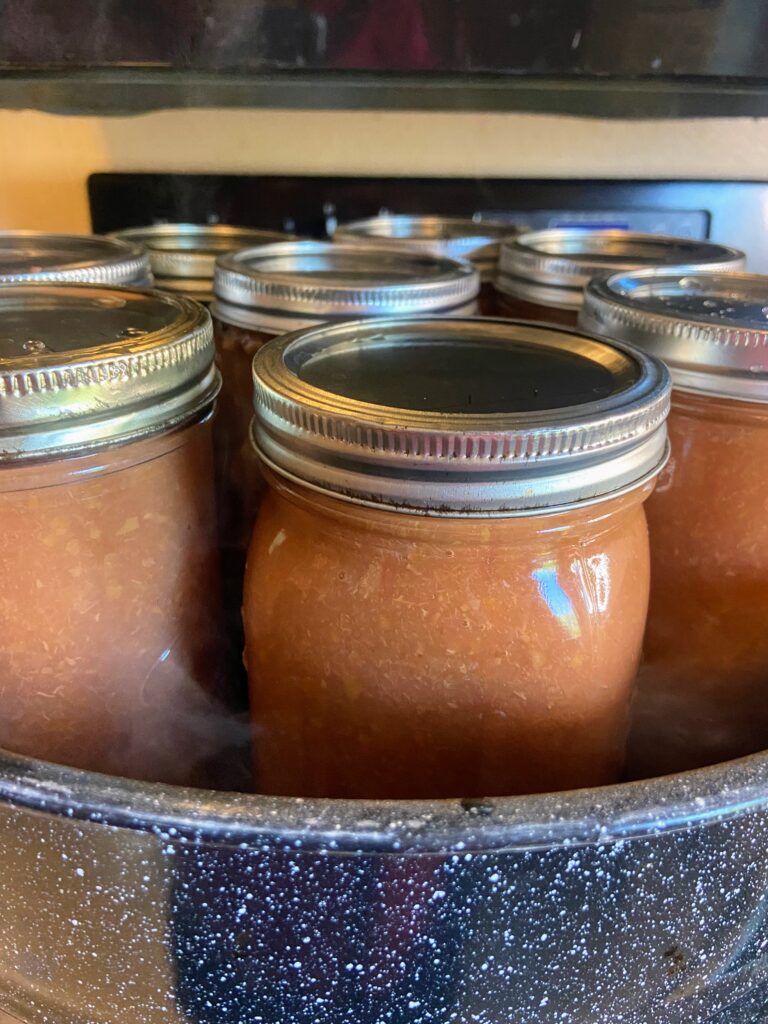 Raspberry Peach Sauce · Jess in the Kitchen