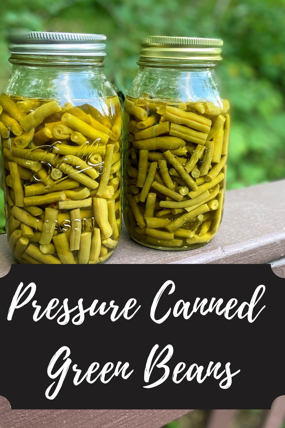 Pressure Canned Green Beans 