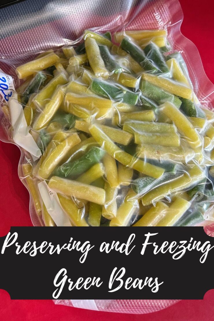 12 Ways to Preserve Apples: Canning, Freezing, Drying + More!