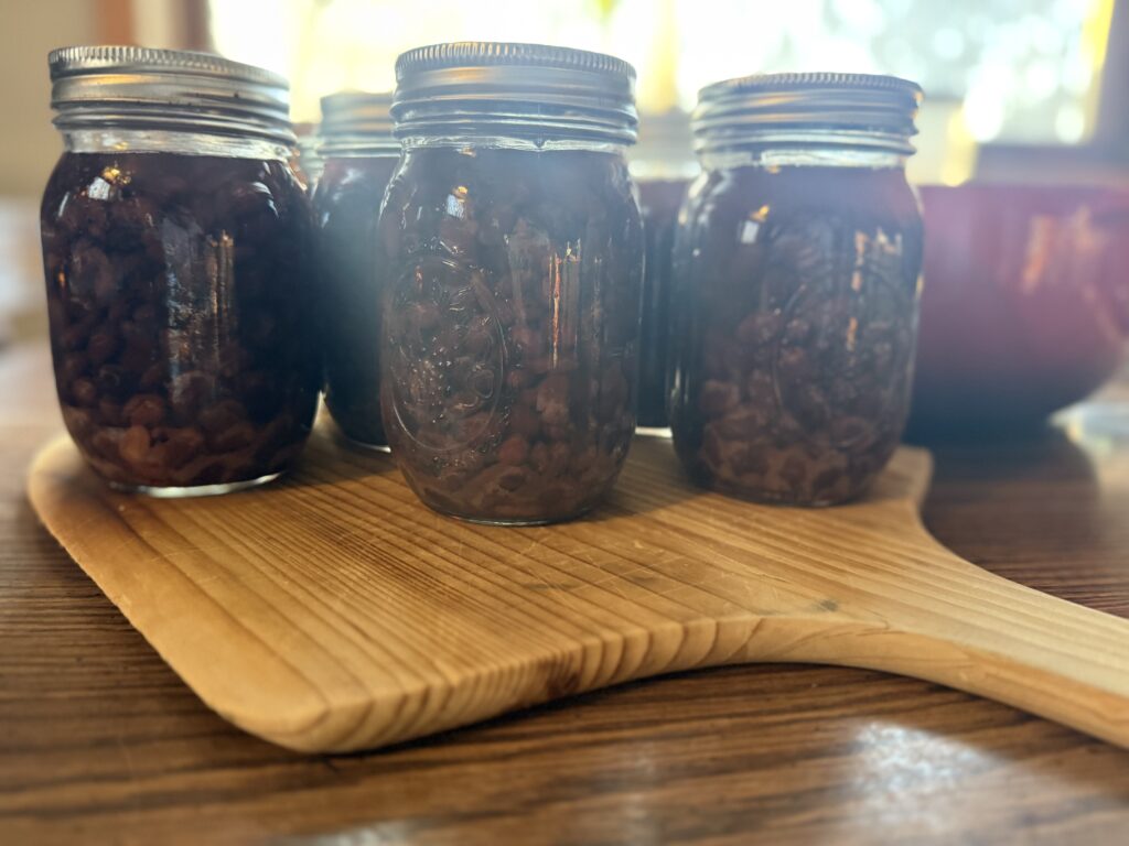 Pressure Canned Black Beans