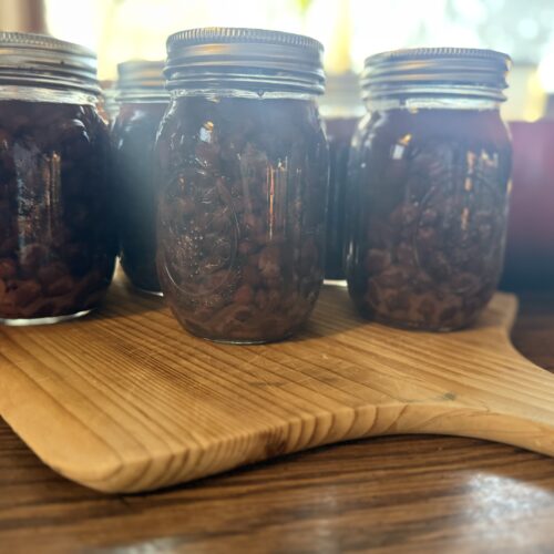 Pressure Canned Black Beans